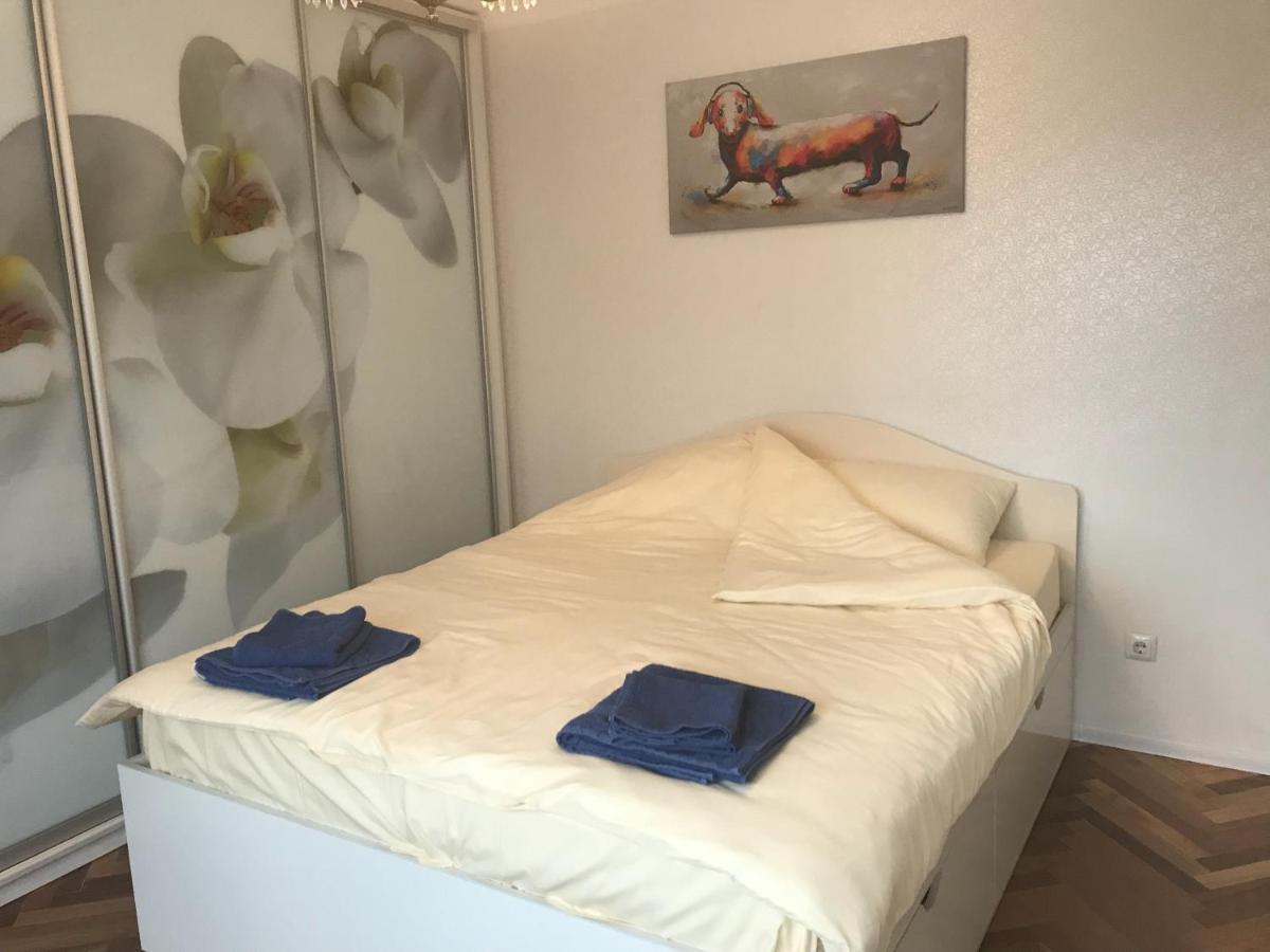 Sunny Apartment Overlooking The Royal Village Κίεβο Εξωτερικό φωτογραφία
