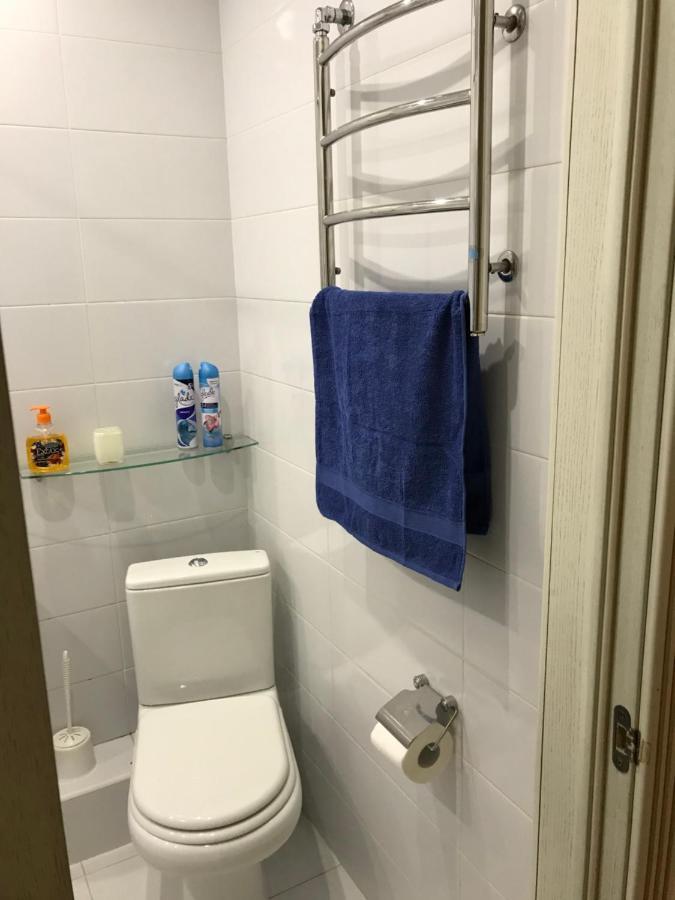 Sunny Apartment Overlooking The Royal Village Κίεβο Εξωτερικό φωτογραφία